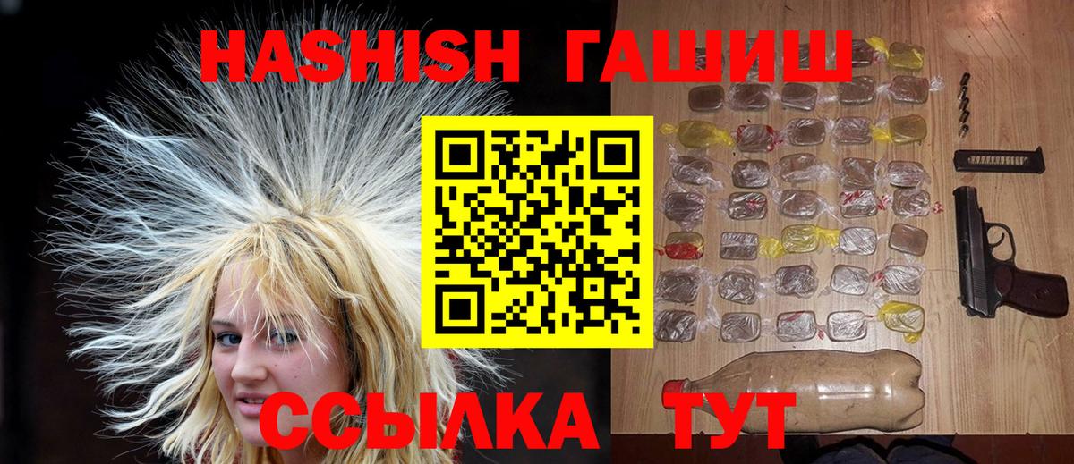 Меф Гатчина