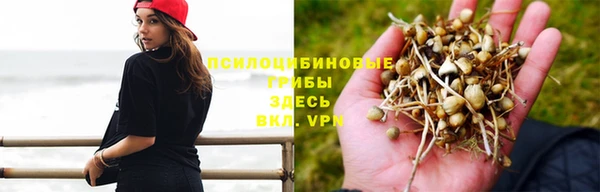 спайс Баксан