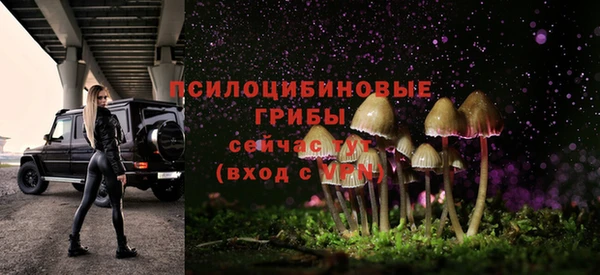 спайс Баксан