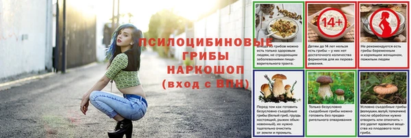 спайс Баксан