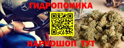 прущие грибы Волжский