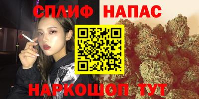 ПСИЛОЦИБИНОВЫЕ ГРИБЫ Берёзовский