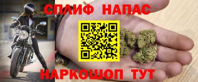 прущие грибы Волжский
