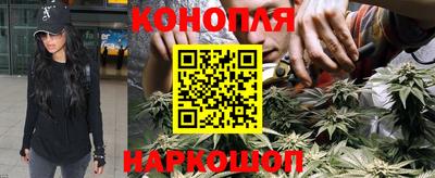 ПСИЛОЦИБИНОВЫЕ ГРИБЫ Берёзовский