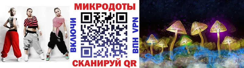 Галлюциногенные грибы Psilocybine cubensis  Гатчина 