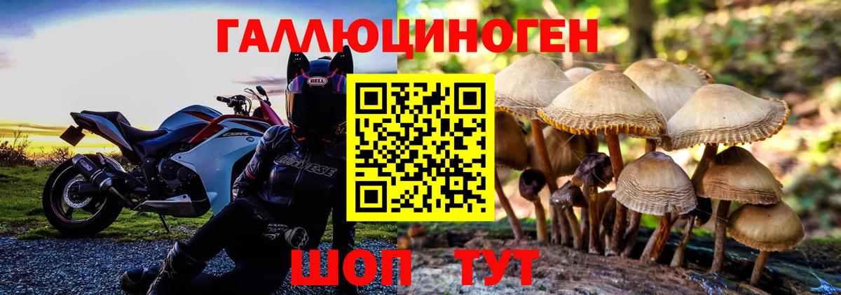 Галлюциногенные грибы Psilocybine cubensis  Вход с VPN  Галлюциногенные грибы прущие грибы  Гатчина 