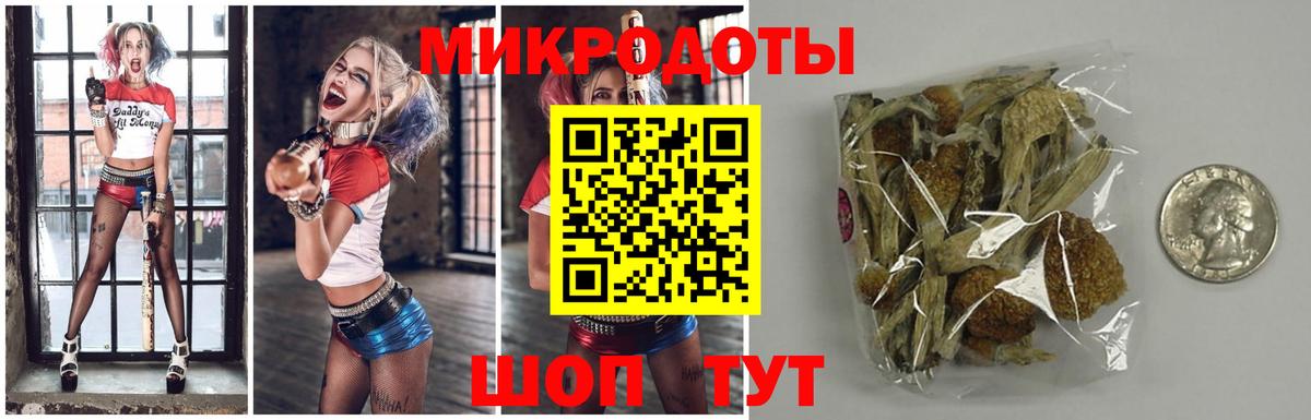 Псилоцибиновые грибы мицелий Гатчина