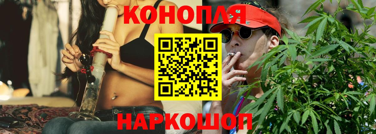 Конопля гибрид  Канабис VHQ  Гатчина 